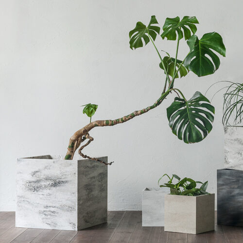 Corian story thumbnail post 5642