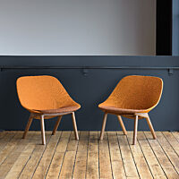 Penna Lounge Pair - Clear Over Walnut