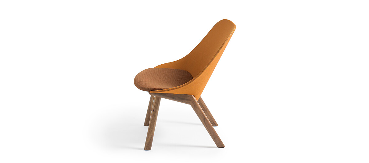 Penna Lounge - Clear over Walnut