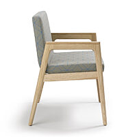 Prose Plus Chair - Clear over Ash