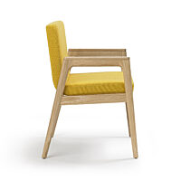 Prose Side Chair - Clear over Ash