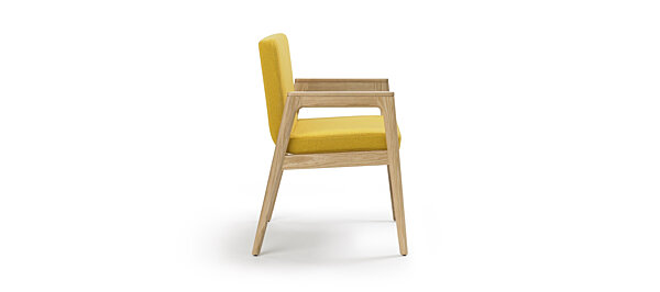 Prose Side Chair - Clear over Ash